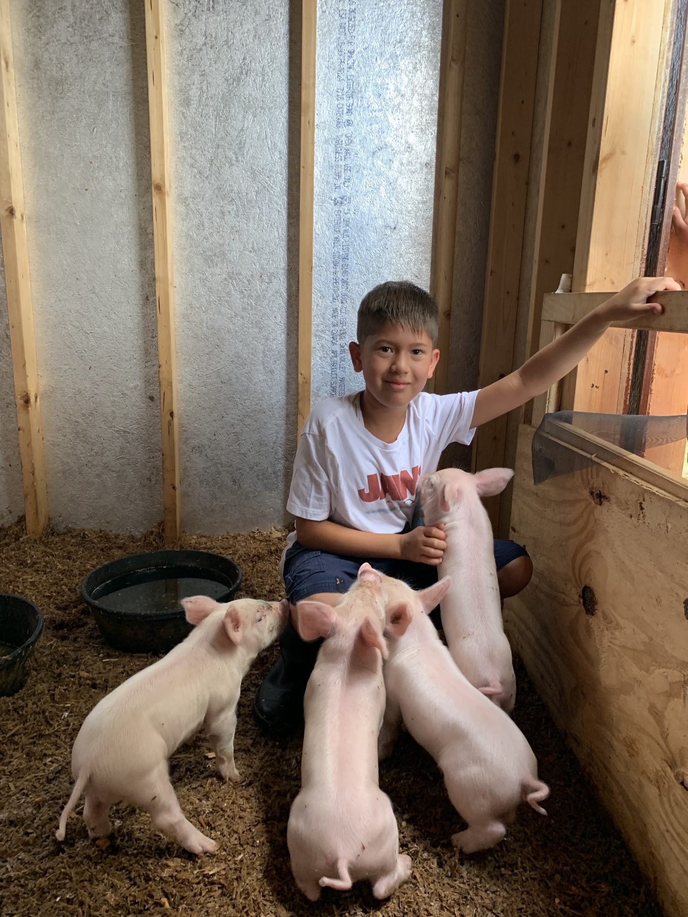 A camper with piglets in the pen