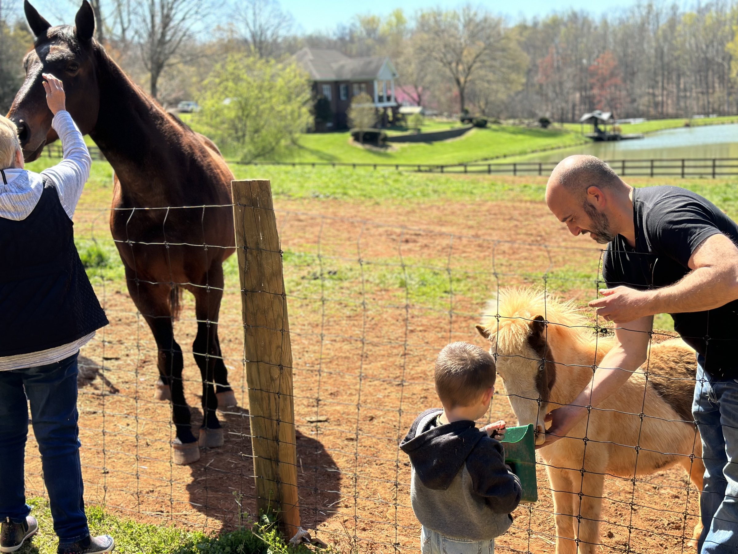 The Storybook Tails family with rescued horses at the fence