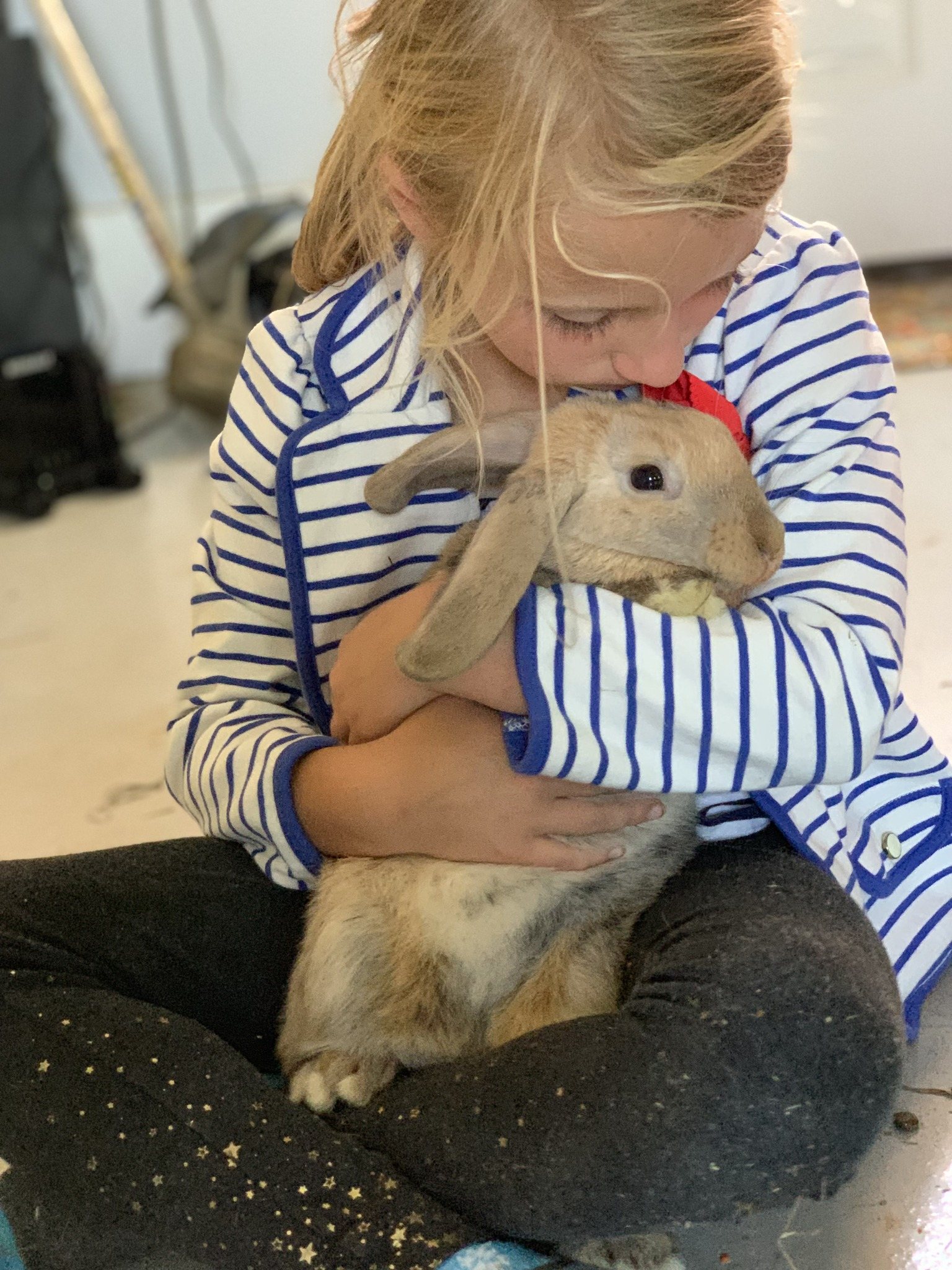 Farm Tours & Animal Encounters