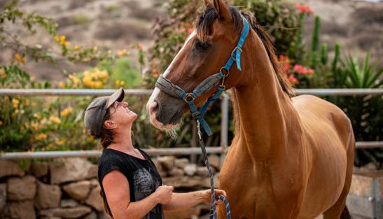 Ride & Care For Rescued Horses