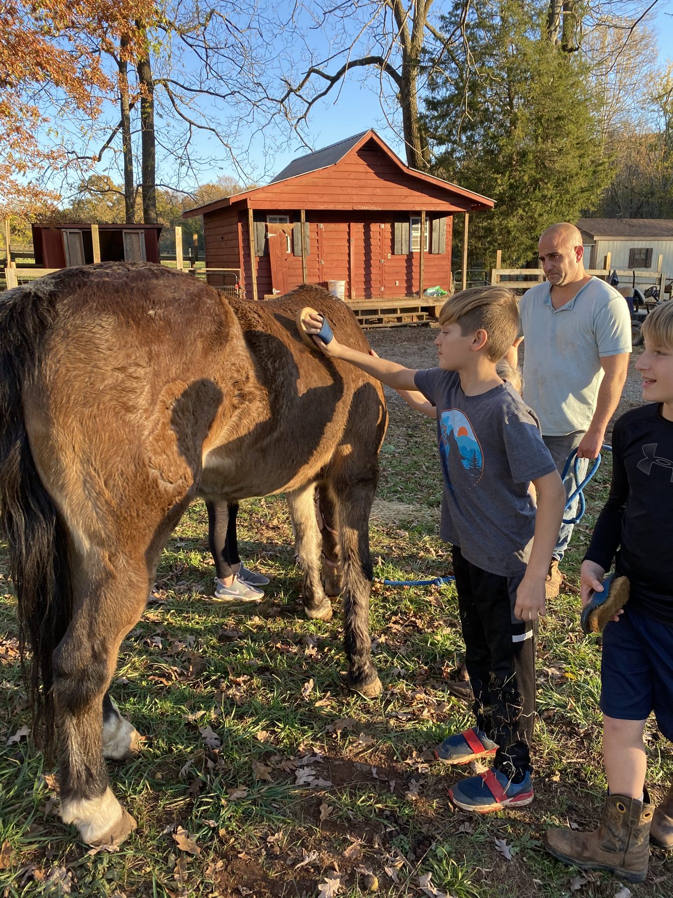 Campers grooming a horse