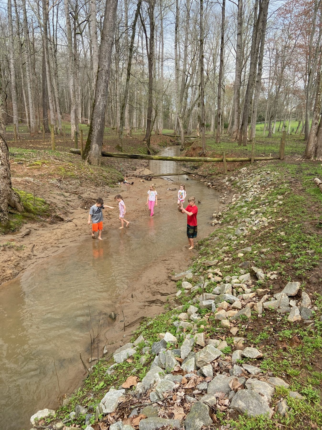 Campers exploring the creek